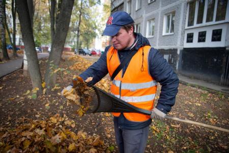 Более 130 сотрудников Департамента городского хозяйства ежедневно убирают опавшую листву во дворах