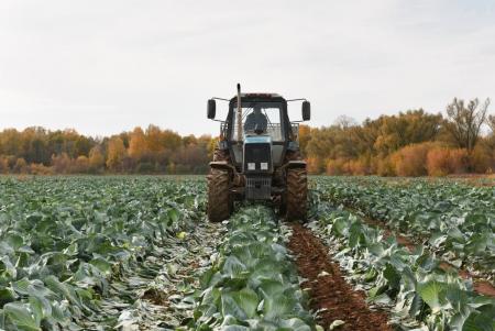 &laquo;Подмосковные 10 га&raquo; теперь можно получить в 26 муниципалитетах, в том числе и в Коломне