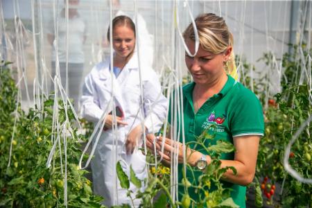 В Городском округе Коломна на агрокомплексе &laquo;Агрофирмы Партнер&raquo; полностью завершили процесс получения семян