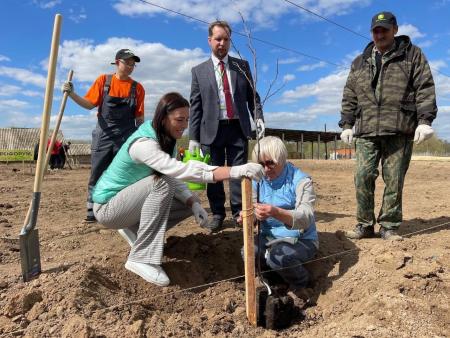 В Коломне посадили земляной миндаль