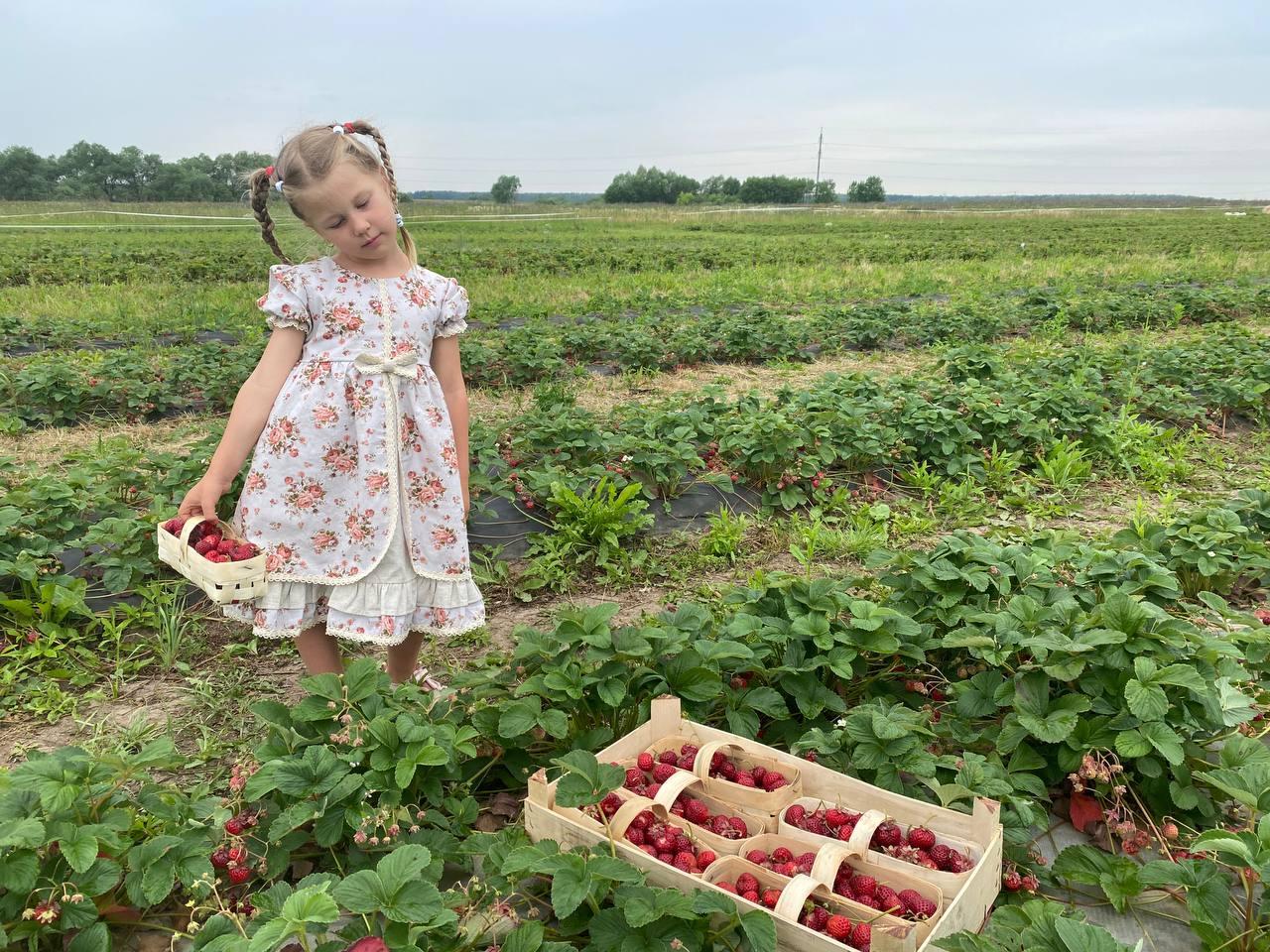 Коломенские фермеры расширяют границы своего производства