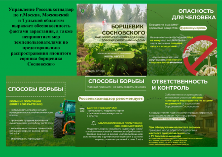 Как бороться с борщевиком Сосновского