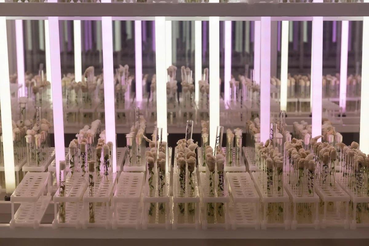 Лабораторию для селекции картофеля, где оборудование имитирует различные климатические циклы, сконструировало АО «Озёры»