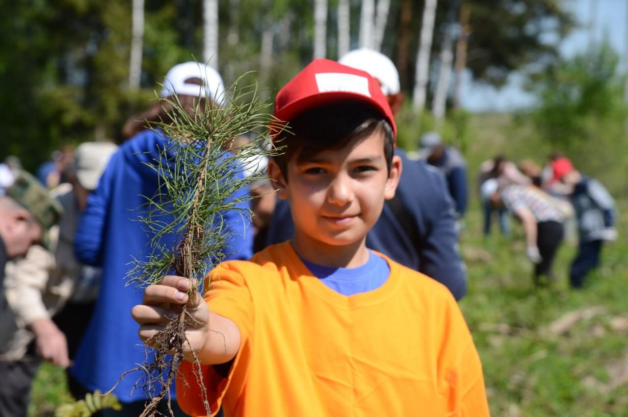 Коломна вновь присоединится к экологической акции «Наш лес. Посади свое дерево»