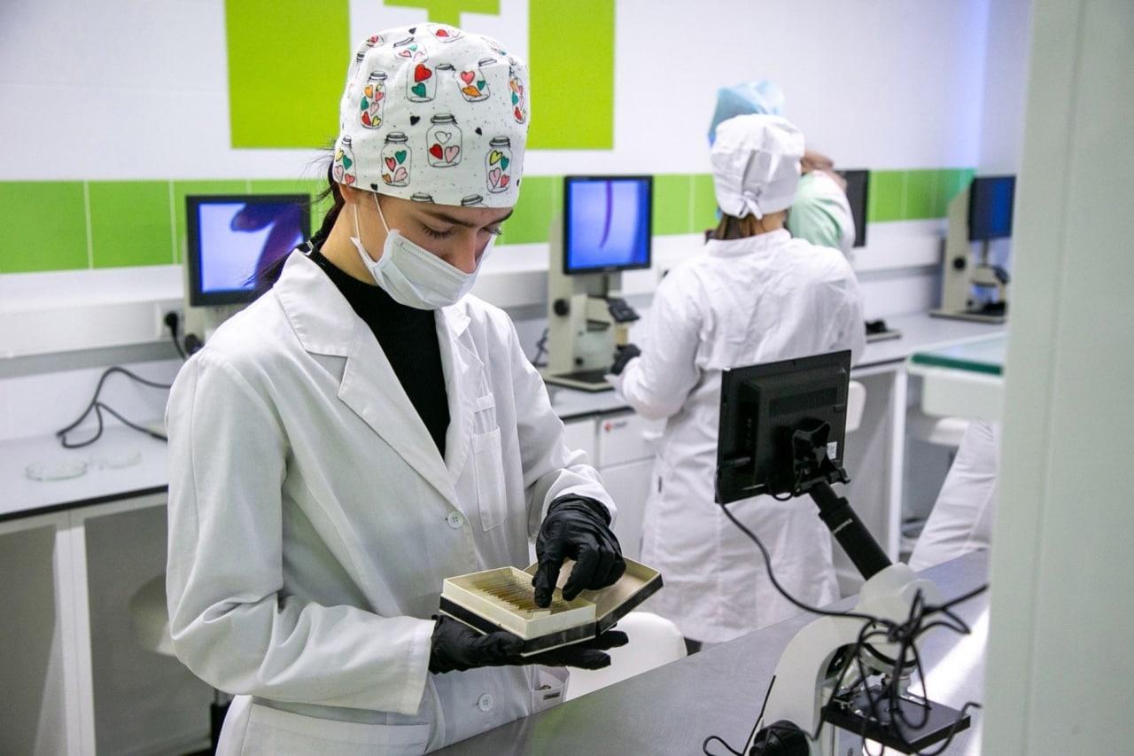 В аграрном колледже Коломны готовятся к открытию агрокластера