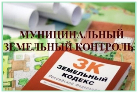 Профилактика правонарушений. Осторожно – борщевик!