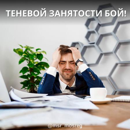 Теневая занятость? Мы с ней поборемся