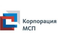 О программе поддержки МСП "газелям"