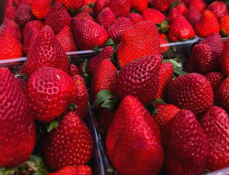 Сезон торговли клубникой в Подмосковье начнётся с 1 апреля