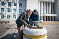 Желтые крокусы в память о жертвах теракта высадили возле здания администрации округа