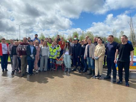 В микрорайоне &laquo;Подлипки-город&raquo; высадили липовую аллею