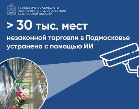 Более 3 тыс. мест незаконной торговли устранено в Подмосковье с помощью ИИ
