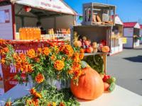 Тематическая ярмарка