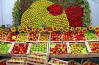 Тематическая ярмарка