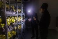 министерство сельского хозяйства и продовольствия Московской области