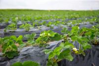 Фото - администрация Городского округа Коломна