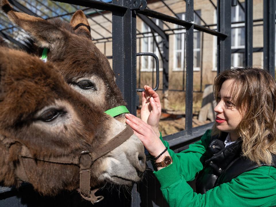 Коломна примет участников регионального агрофорума «Наша земля — Подмосковье»