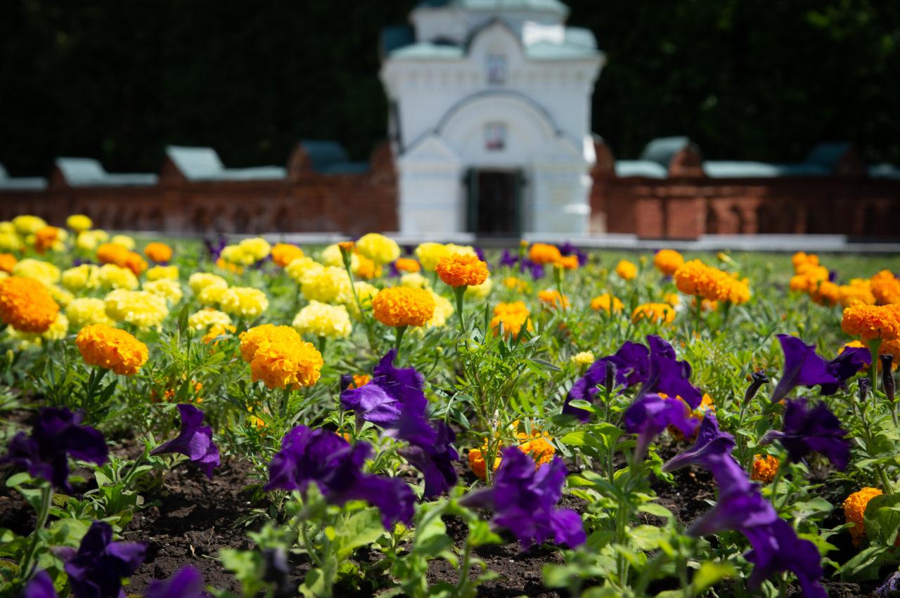 Циннии, бегонии, петунии и цинерарии распустятся на городских клумбах в Коломне и Озерах
