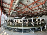 Соглашение о строительстве молочно-товарной фермы на 3000 голов фуражных коров подписано на ПМЭФ