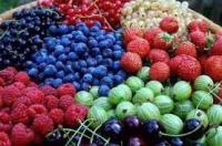 Тематическая ярмарка