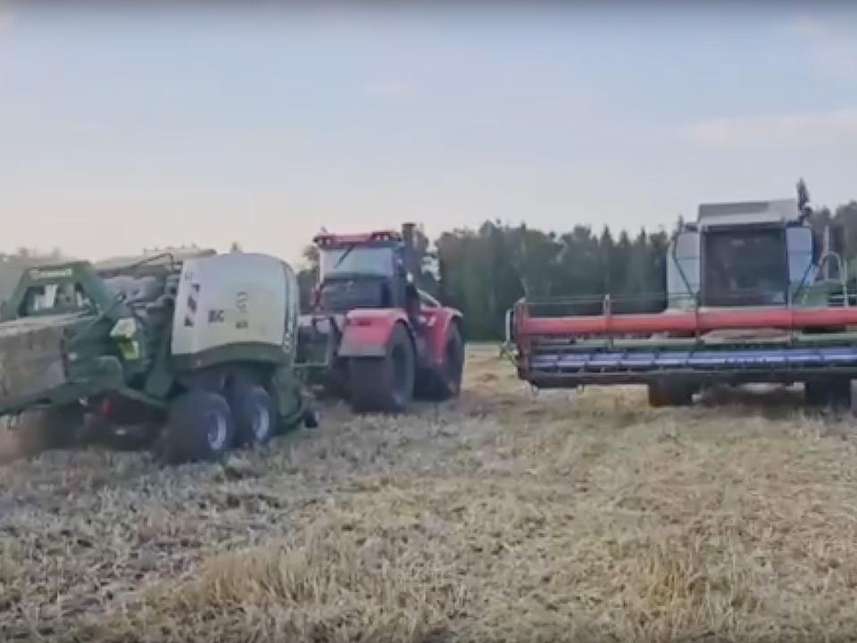 Хозяйства Агрохолдинга «ОСП агро» продолжают активно заготавливать корма, в частности, солому озимой пшеницы