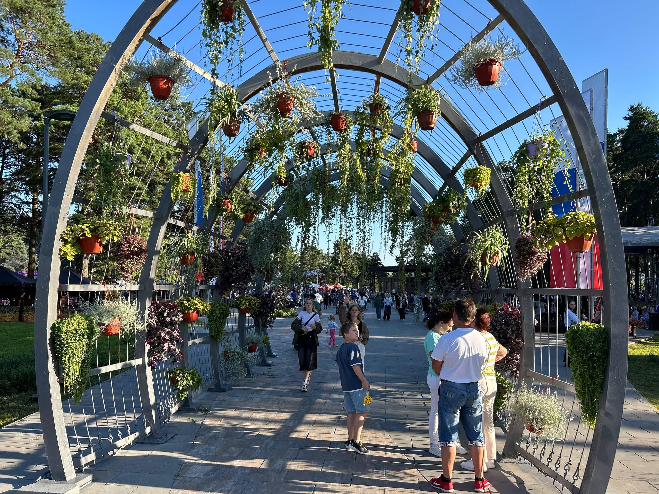 Море цветов, музыка и фестиваль моды: одной из главных площадок 100-летия Озёр стал парк «Сосновый бор»