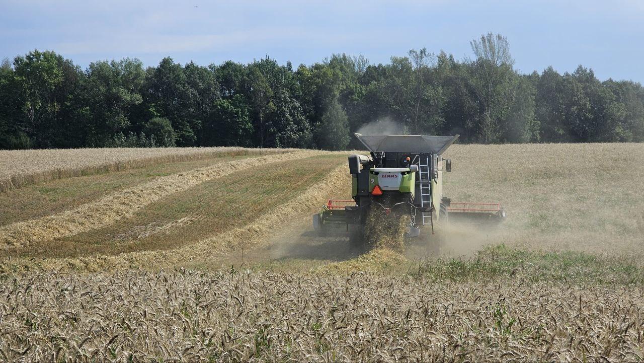 Более 4 000 га озимых зерновых культур предстоит убрать хозяйствам Городского округа Коломна
