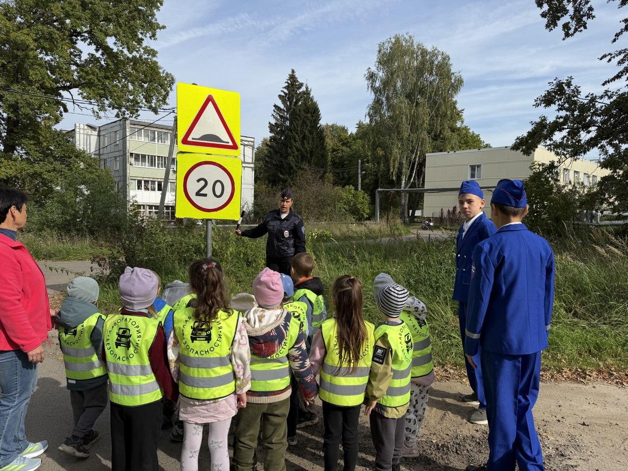 Дошкольники из Емельяновки поучаствовали в пешеходной экскурсии с Госавтоинспекцией