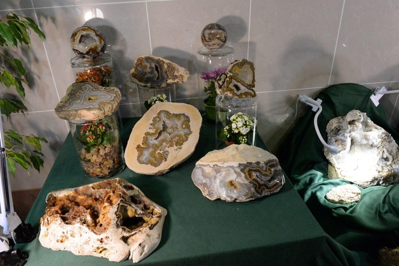 IV Форум недропользователей Центрального федерального округа открылся в Коломне