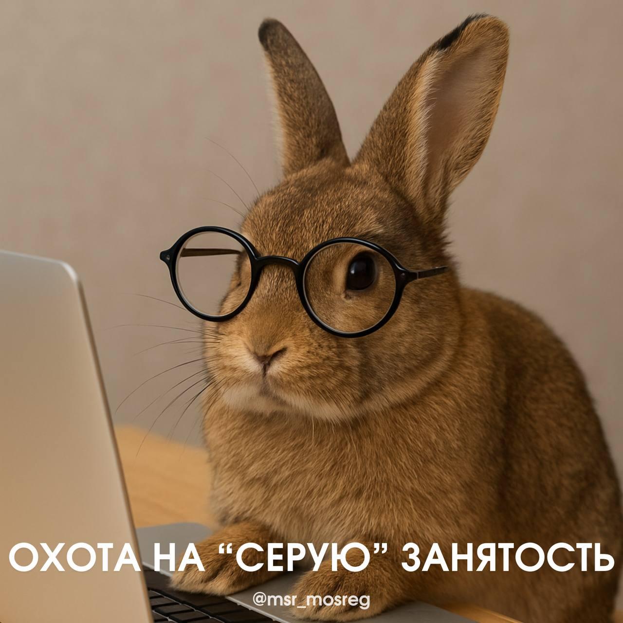 Результаты охоты на «серую» занятость