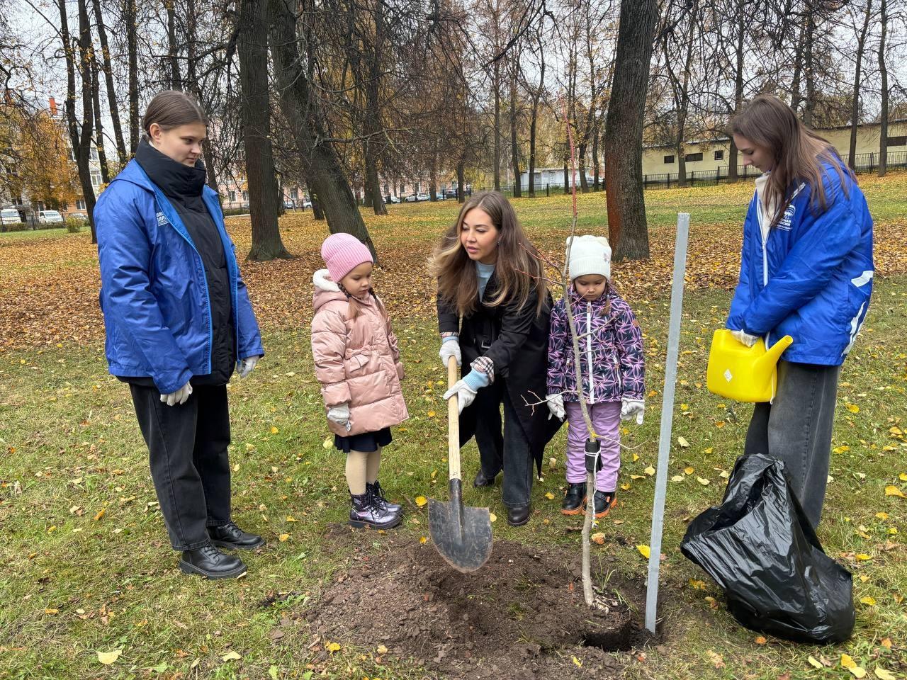 В День отца в Коломне заложили липовую аллею