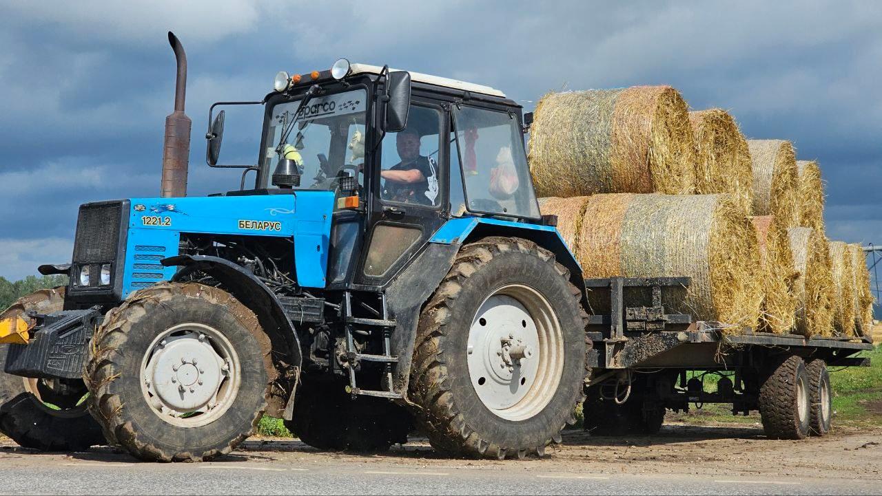 Сельскохозяйственные предприятия озёрского агрохолдинга «ОСП агро» заготовили на зиму 49 тысяч рулонов и тюков соломы