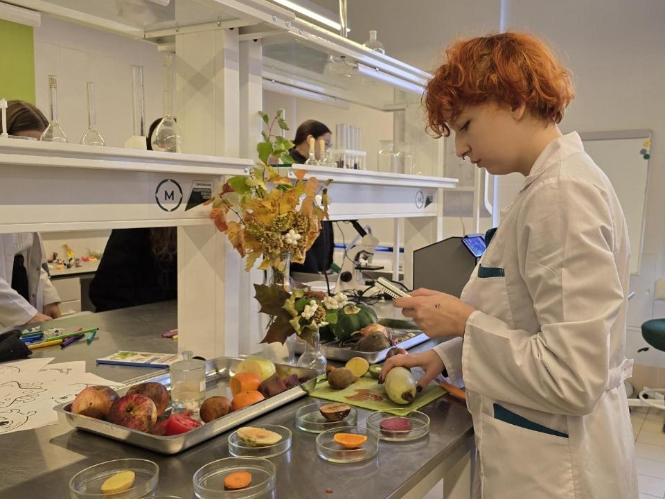 Тест-драйв трактора и аграрные мастер-классы: праздник урожая и профессий состоялся в Коломне