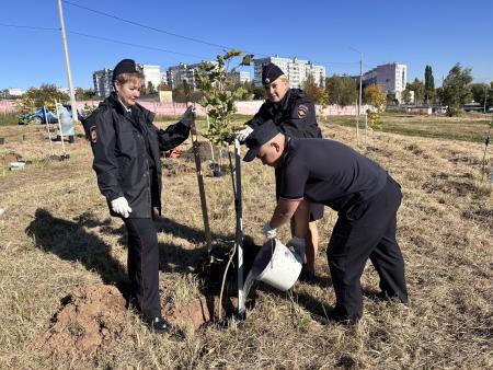 В Коломне полицейские присоединились к акции «Лес Победы»