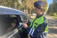 «Безопасный двор»: госавтоинспекторы Коломны провели профилактическую акцию