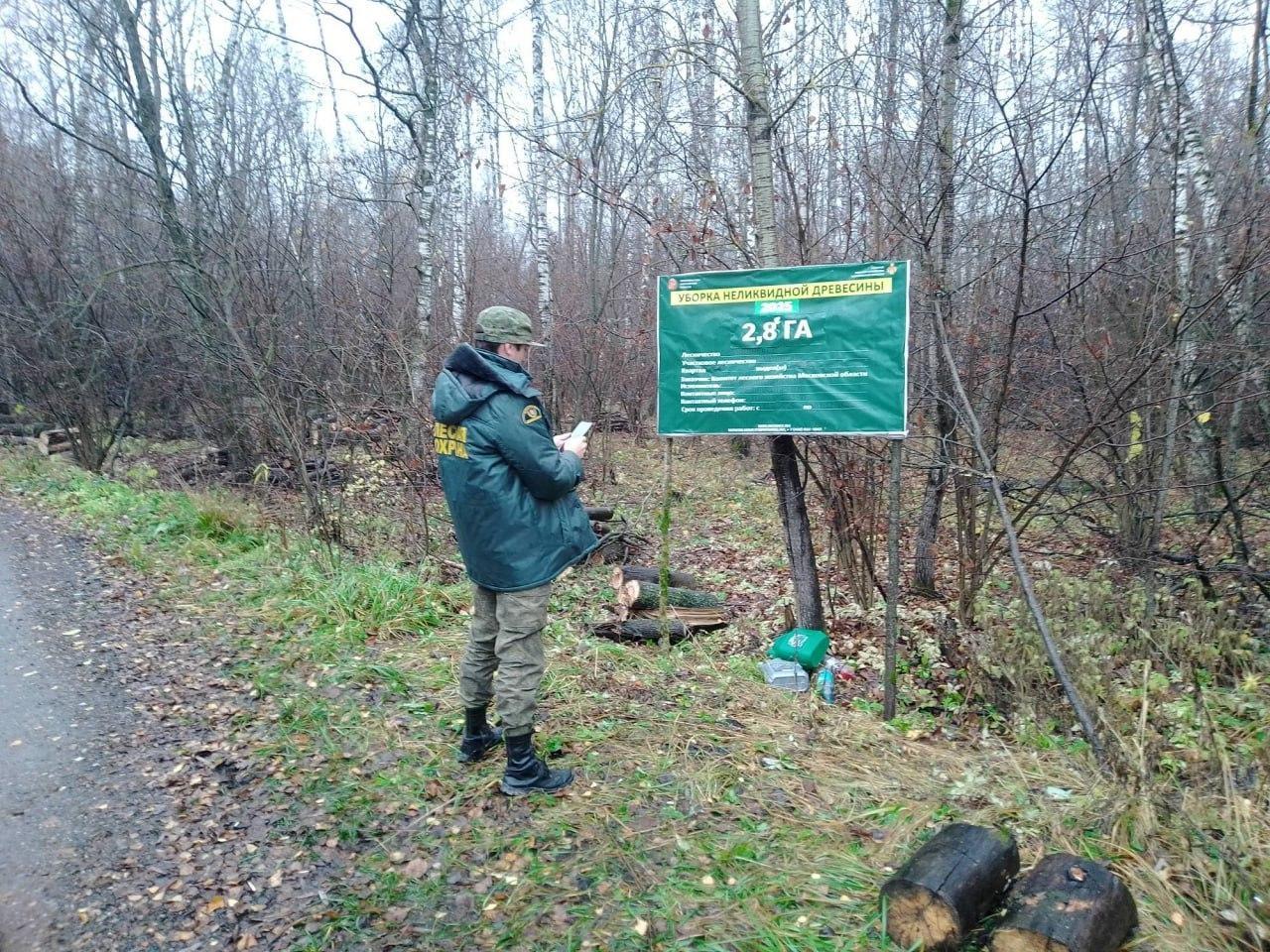 От неликвидной древесины очистили участки в коломенских лесах