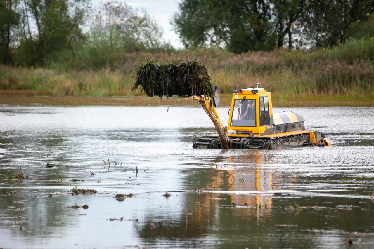 В Городском округе Коломна продолжается голосование за очистку прудов