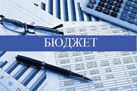О проведении экспертизы проекта бюджета