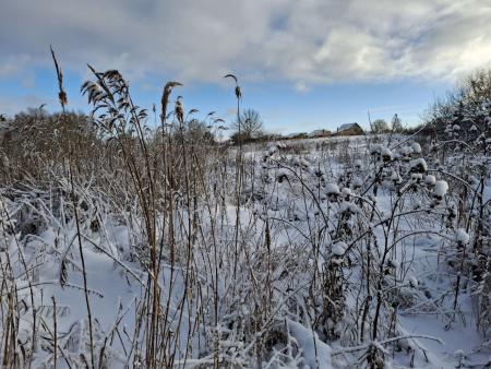 Советы от депутата Госдумы Никиты Чаплина по делам в зимний период на даче