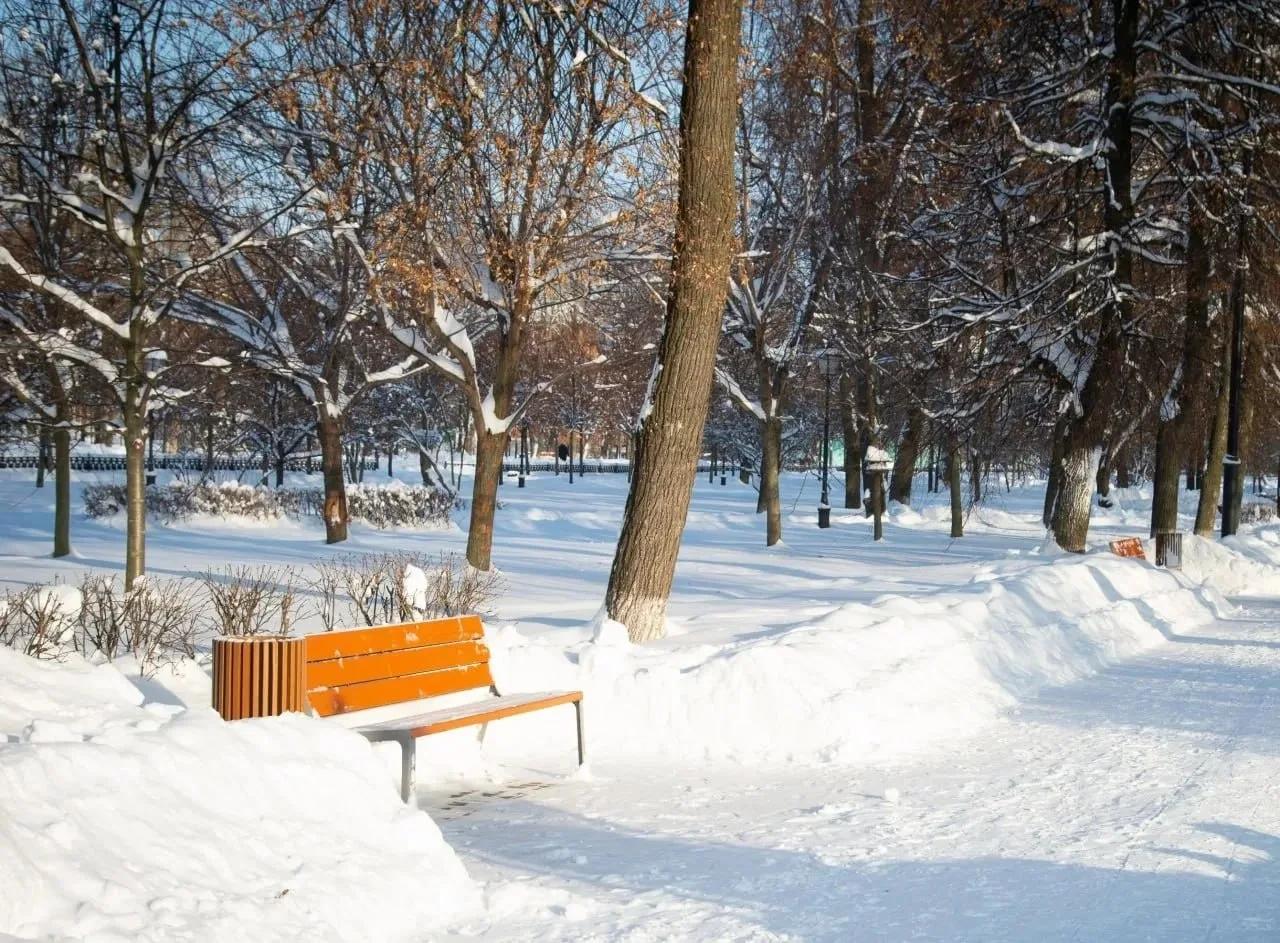 Обсуждение концепции будущего проекта благоустройства сквера «Окский»состоится 17 февраля