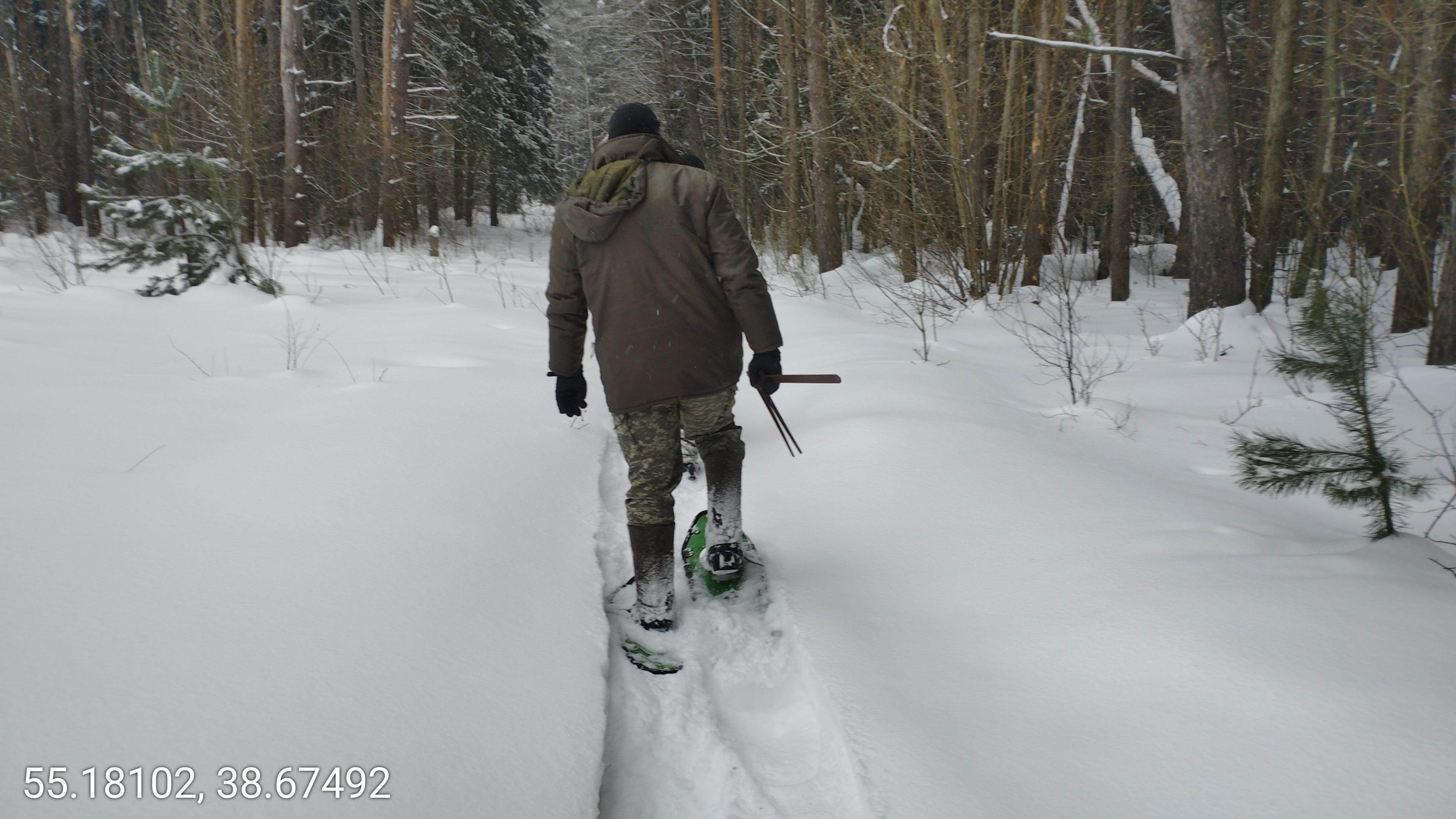 Сотрудники лесной охраны Городского округа Коломна выполняют отвод лесных участков для проходных рубок