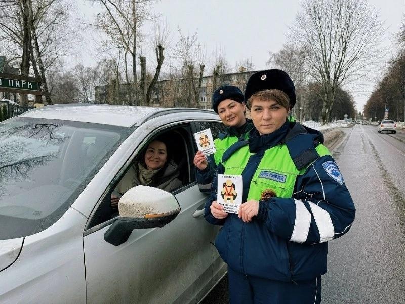 О безопасности самых уязвимых участников дорожного движения - пешеходов - напомнили коломенцам