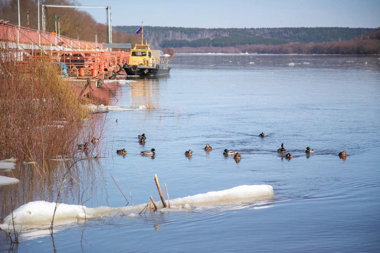 Подъем рек, субботники и поддержка бойцов СВО стали главными темами недели на совещании в Коломне