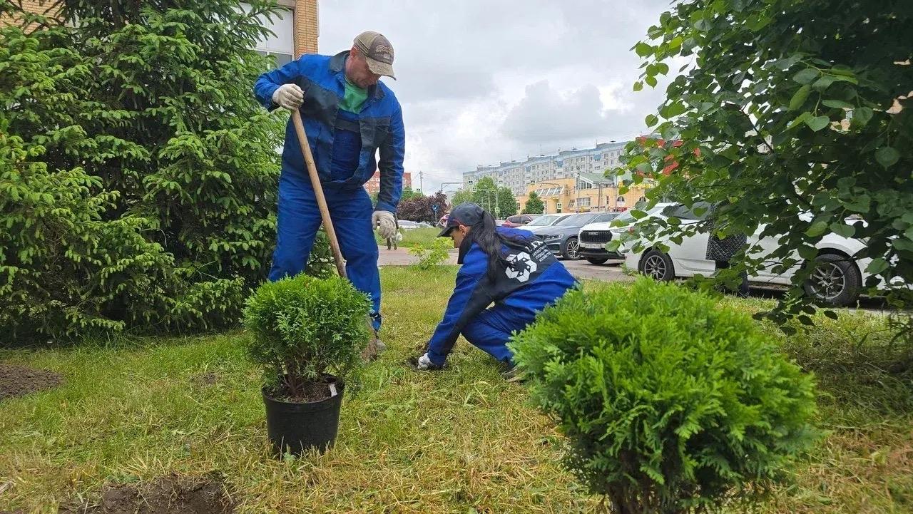 В Коломне отметили День соседей