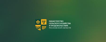 Сезонные залы летних кафе